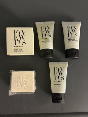 NEW Five Wits 4ct Cleaning Routine